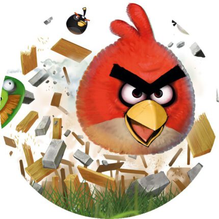 ANGRY BIRDS NR 3