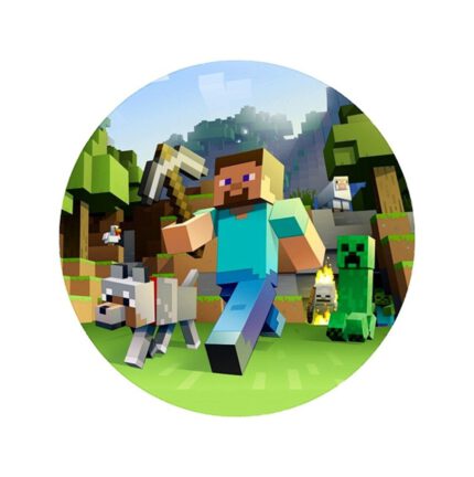 MINECRAFT NR 5