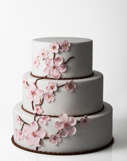 TORT WESELNY 5