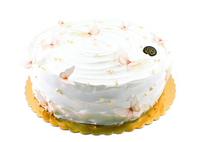 TORT BUTTERFLY