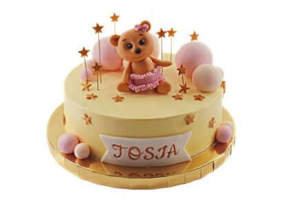 TORT TEDDY BEAR